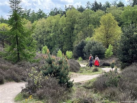 de wandeldate|Wandelend daten: samen wandelen kan zoveel meer。